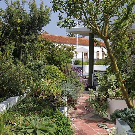 Jungle Paradise La Orotava Exterior photo
