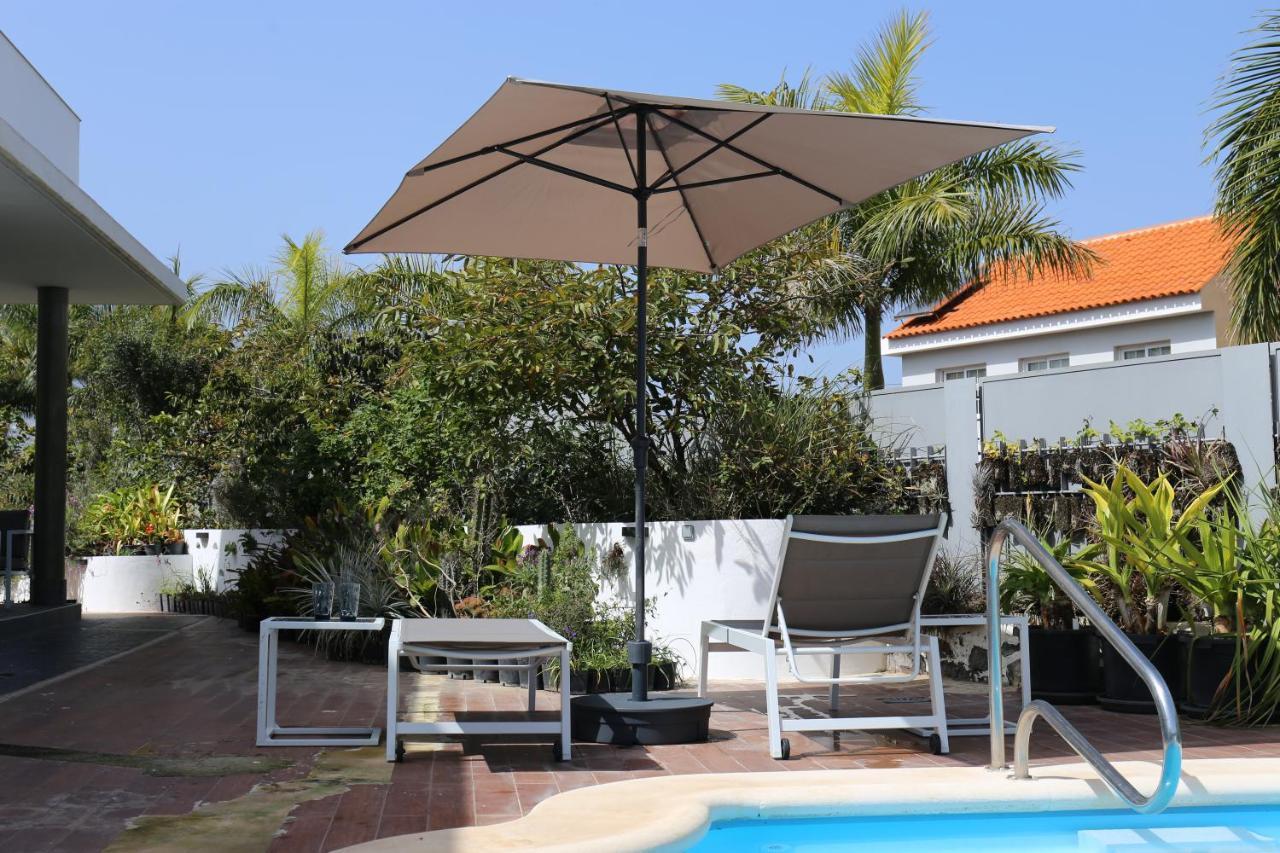 Jungle Paradise La Orotava Exterior photo
